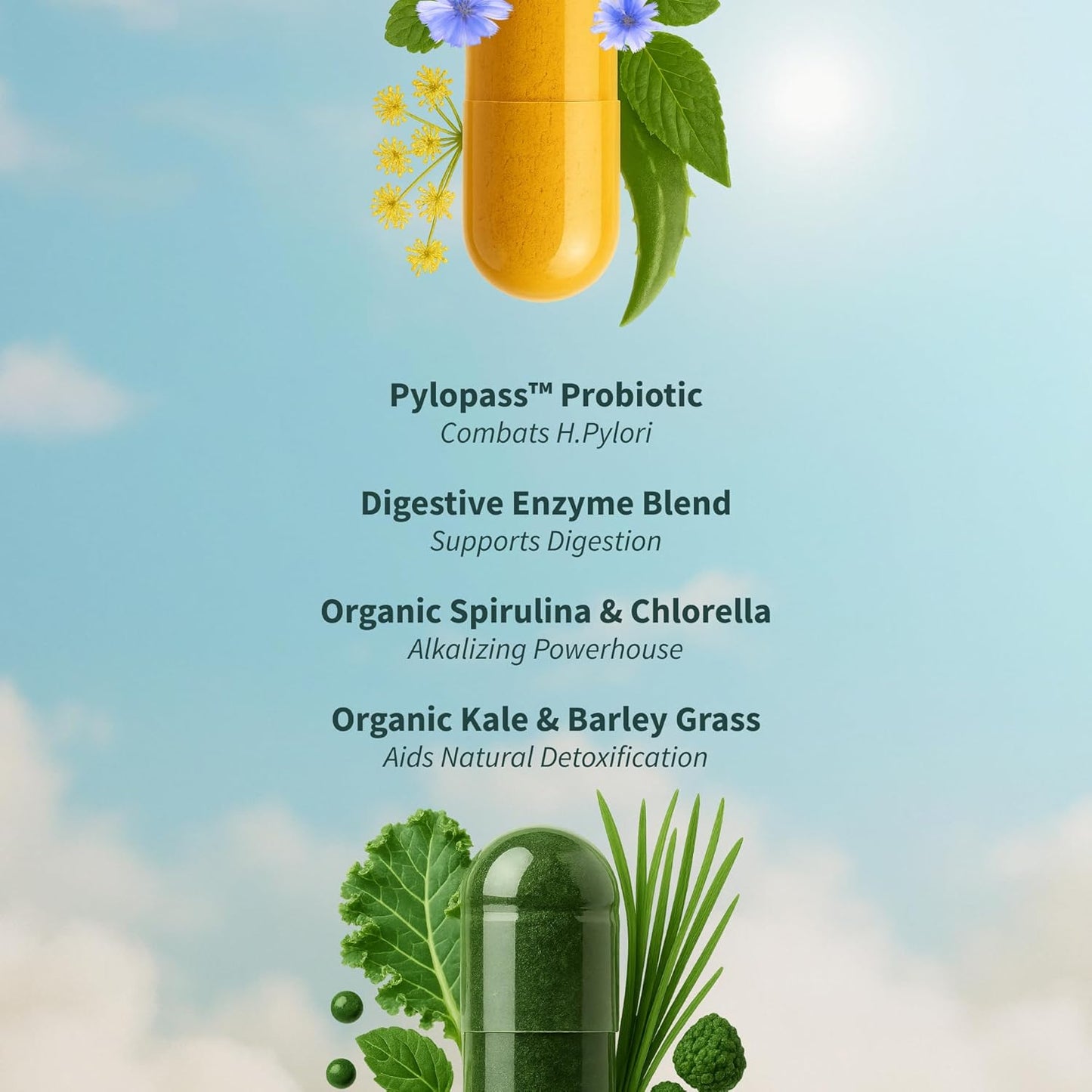 Pack Brillo Intestinal - Gut Health + Spirulina & Chlorella